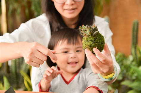 賞屋禮|賞屋禮、賞屋活動案例分享（盆栽）